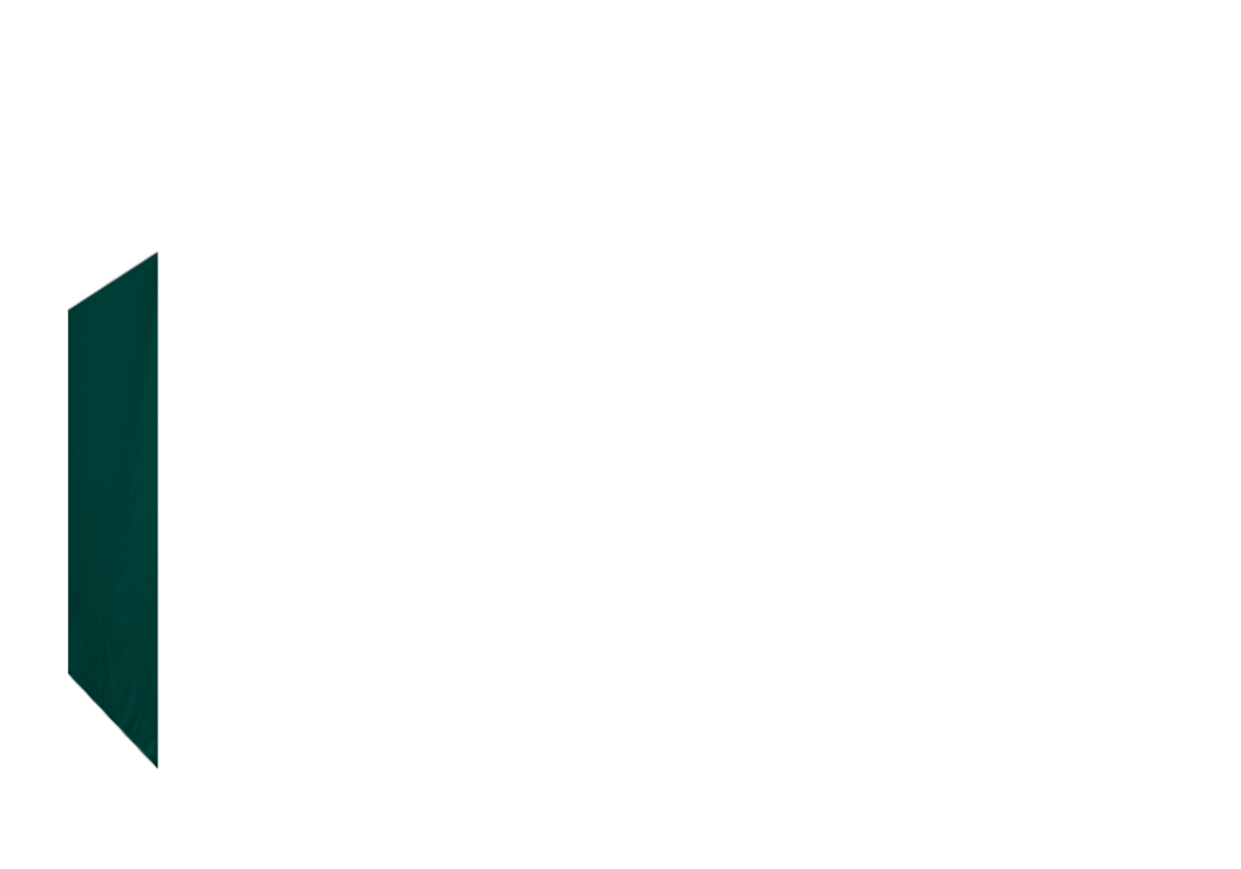 Geschlossene linke Seitenwand für Stormtent 3x6 m Grün in 320g/m²